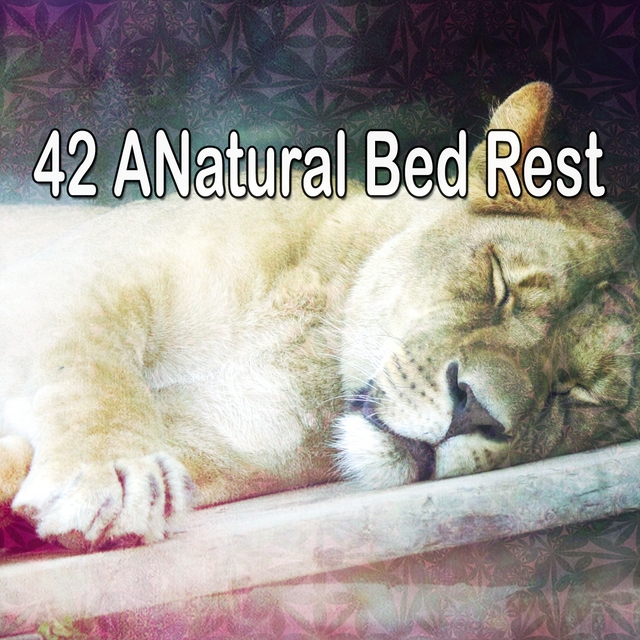 42 ANatural Bed Rest