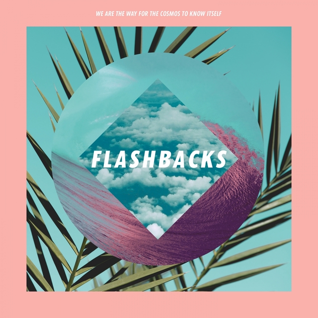 Couverture de Flashbacks