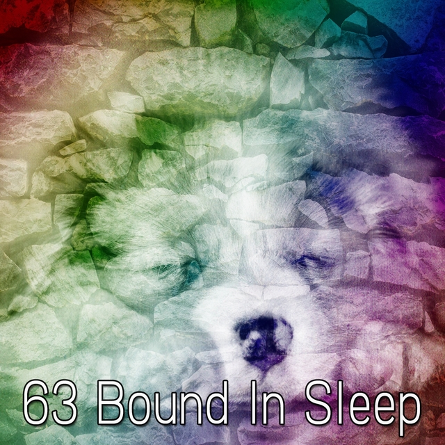 Couverture de 63 Bound In Sleep