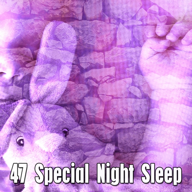 Couverture de 47 Special Night Sleep