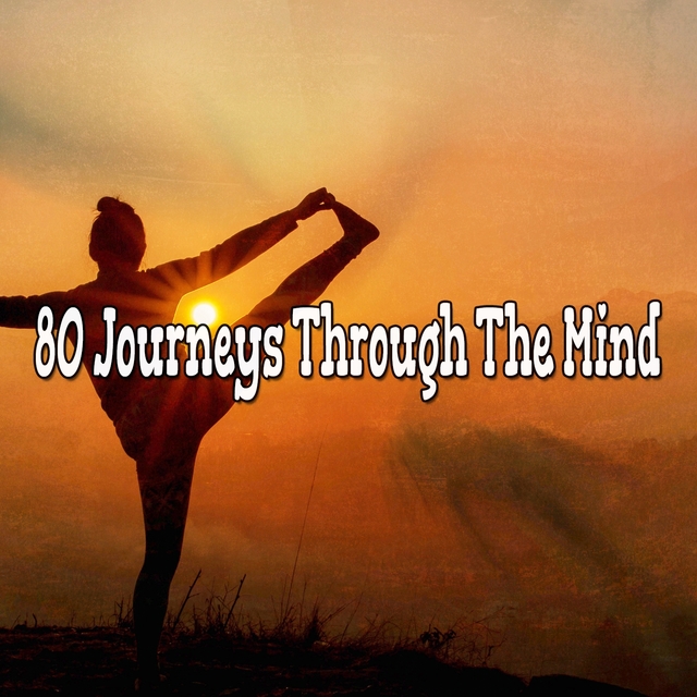 Couverture de 80 Journeys Through The Mind