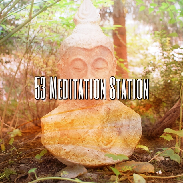 53 Meditation Station