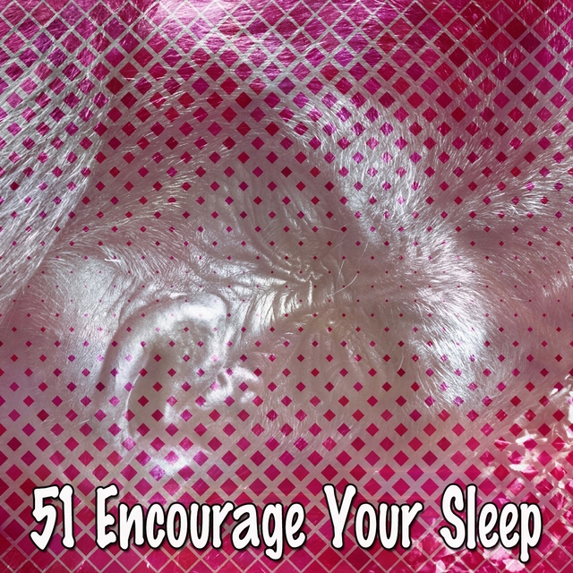 51 Encourage Your Sleep