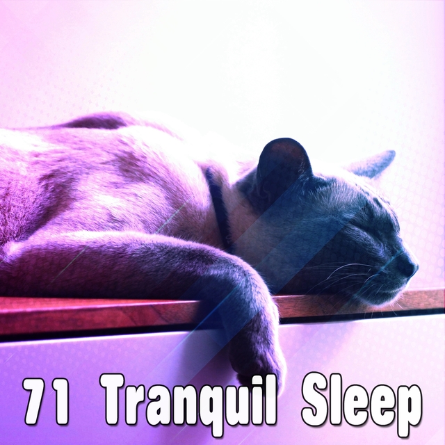 71 Tranquil Sleep