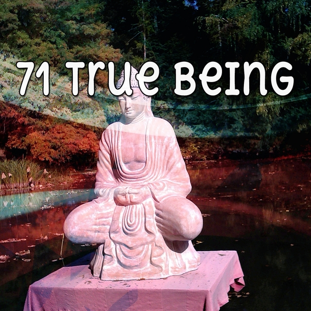 Couverture de 71 True Being