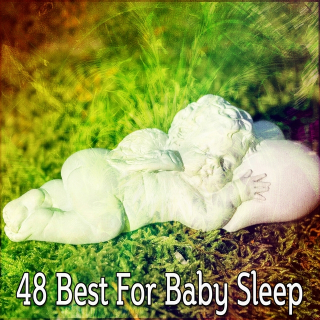 Couverture de 48 Best For Baby Sleep