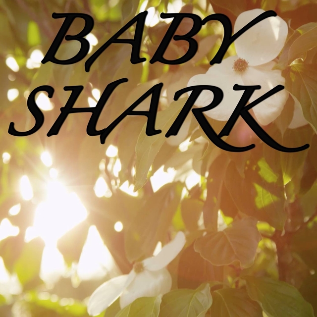 Baby Shark / Tribute to Pinkfong