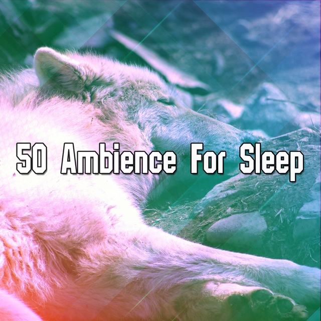 Couverture de 50 Ambience For Sleep