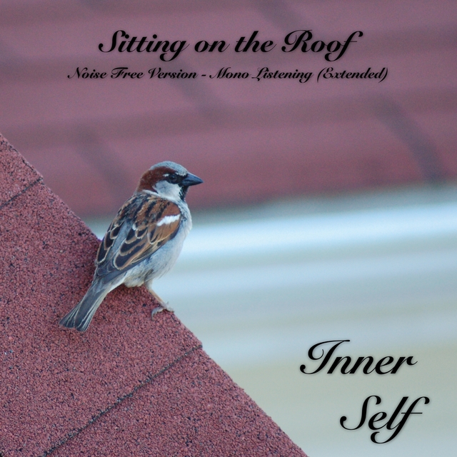 Couverture de Sitting on the Roof - Noise Free Version - Mono Listening (Extended)