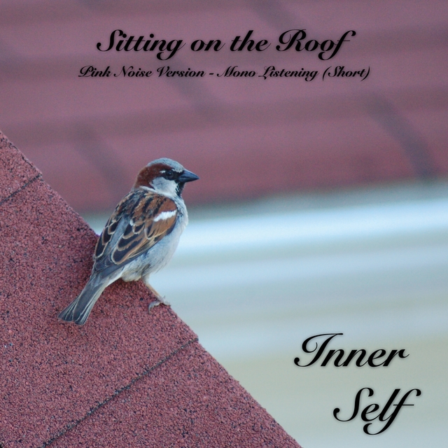 Couverture de Sitting on the Roof - Pink Noise Version - Mono Listening (Short)