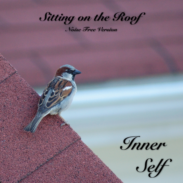 Couverture de Sitting on the Roof - Noise Free Version