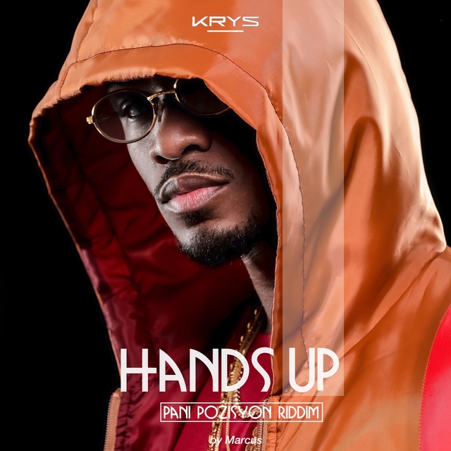 Couverture de Hands Up