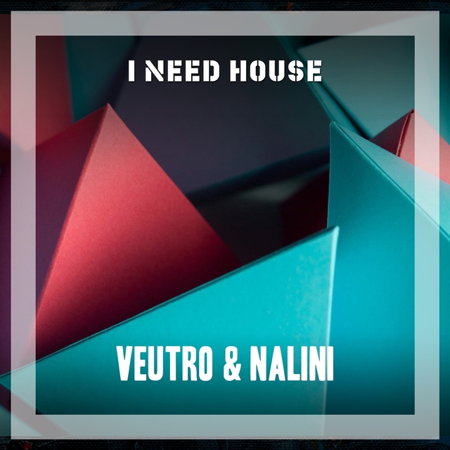 Couverture de I Need House