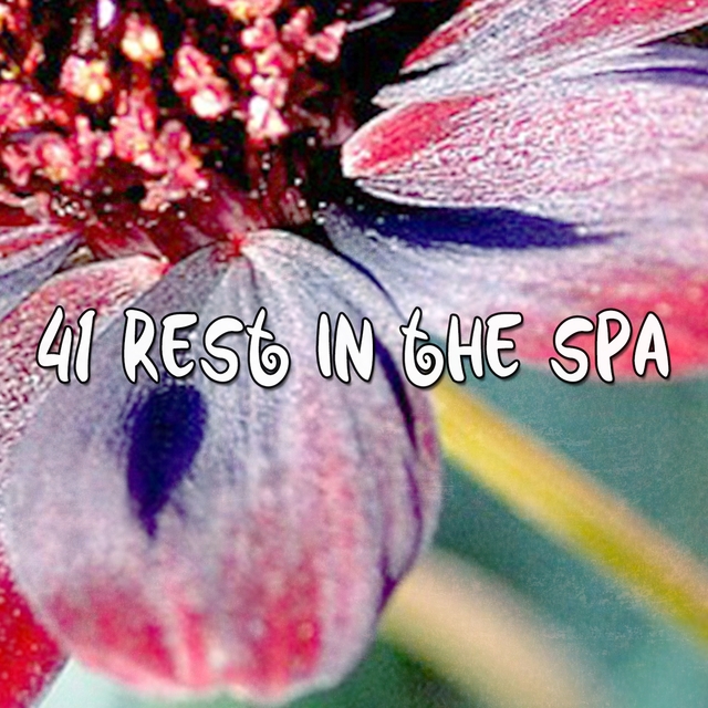 41 Rest In The Spa