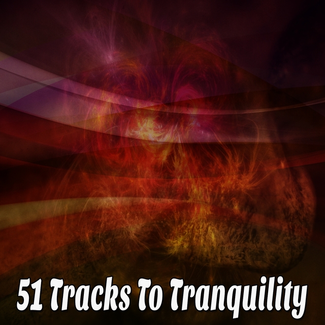 Couverture de 51 Tracks To Tranquility