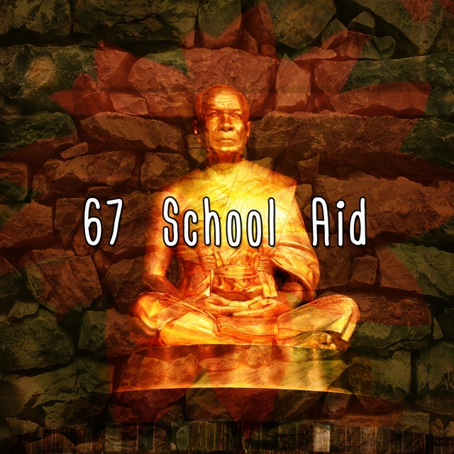 67 School Aid