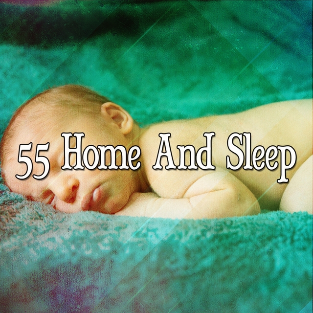 Couverture de 55 Home And Sleep