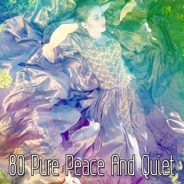 Couverture de 80 Pure Peace And Quiet