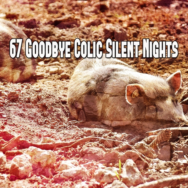 Couverture de 67 Goodbye Colic Silent Nights