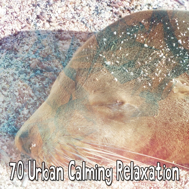 Couverture de 70 Urban Calming Relaxation