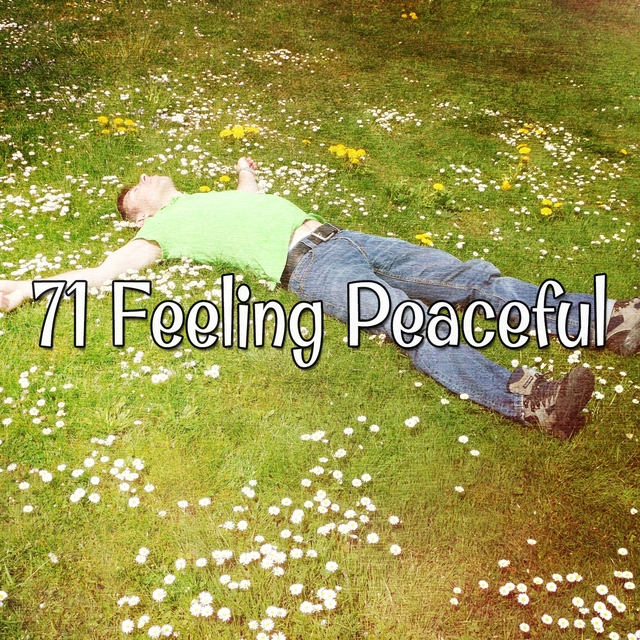 Couverture de 71 Feeling Peaceful