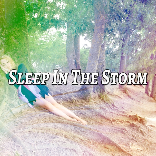 Couverture de Sleep In The Storm
