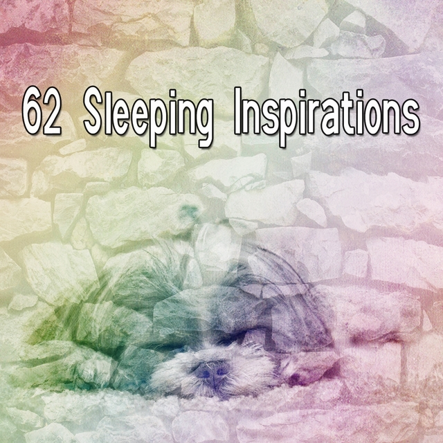 Couverture de 62 Sleeping Inspirations