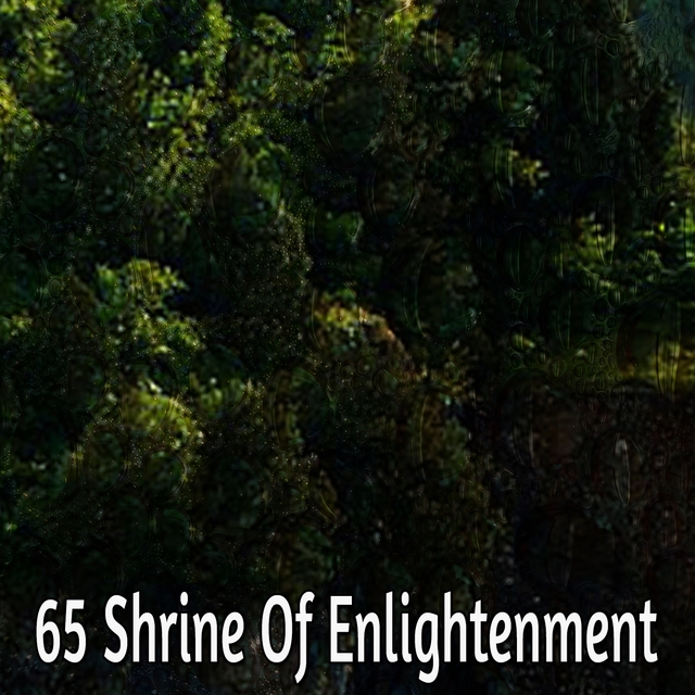 Couverture de 65 Shrine Of Enlightenment