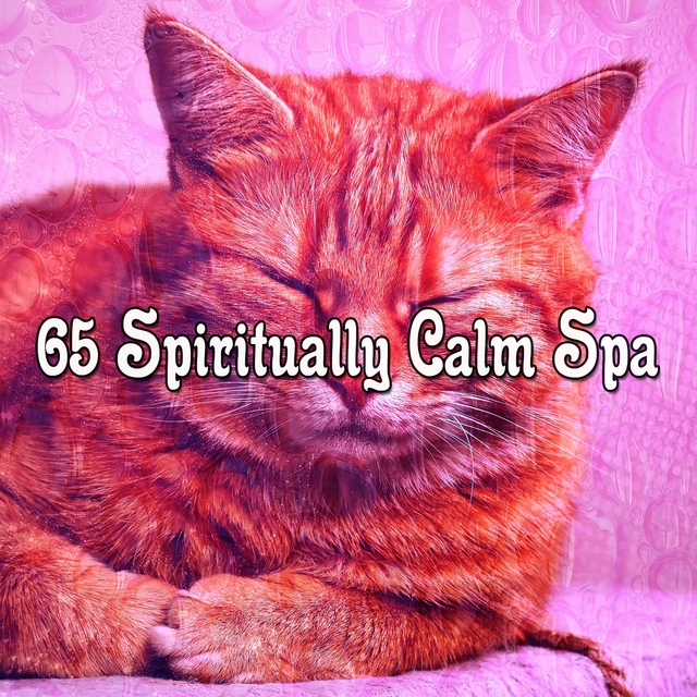 Couverture de 65 Spiritually Calm Spa