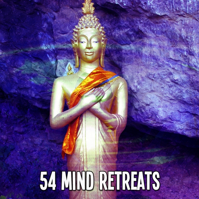 Couverture de 54 Mind Retreats