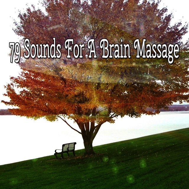 Couverture de 79 Sounds For A Brain Massage