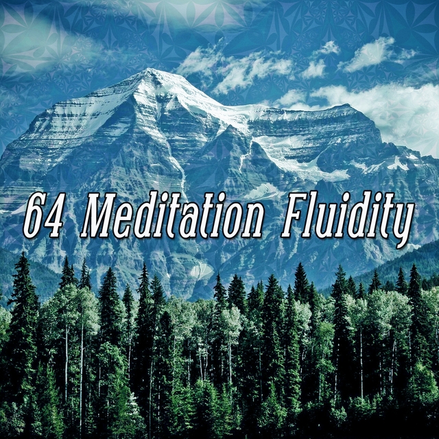 64 Meditation Fluidity