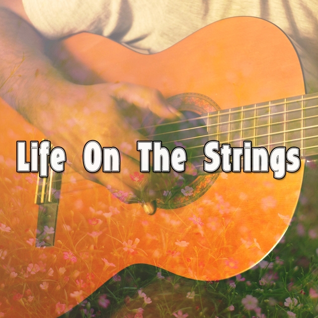 Couverture de Life On The Strings