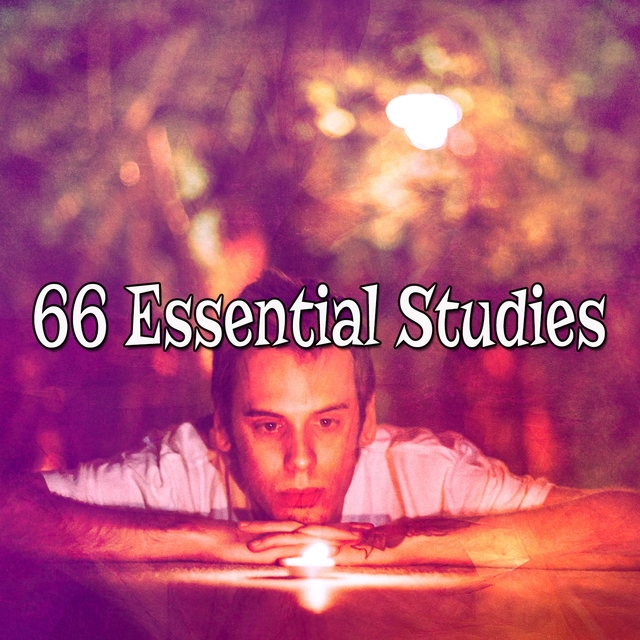 66 Essential Studies