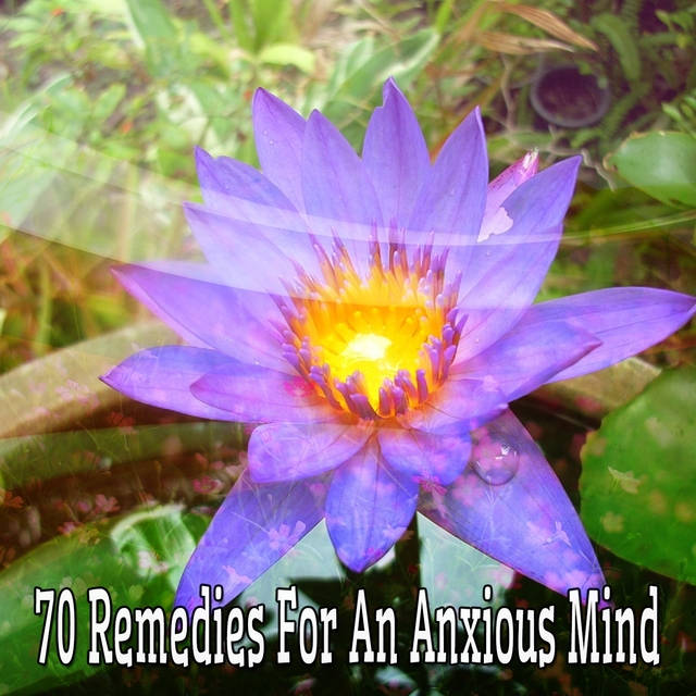 Couverture de 70 Remedies For An Anxious Mind