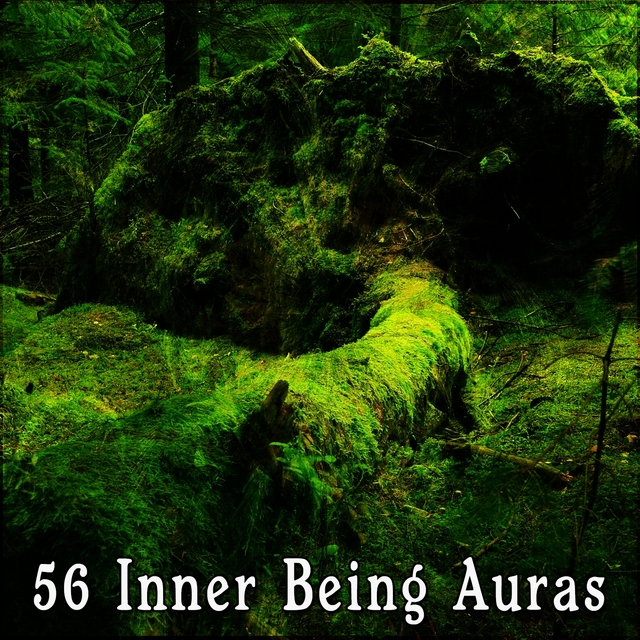 Couverture de 56 Inner Being Auras