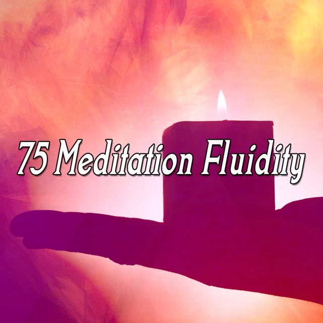 75 Meditation Fluidity