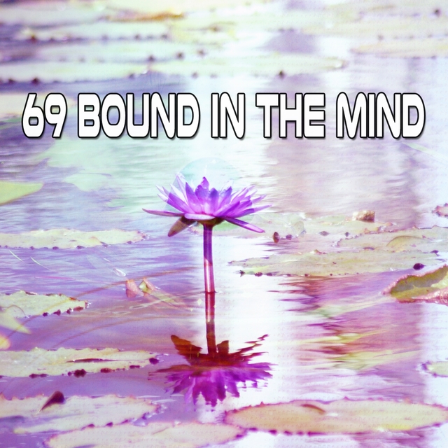 Couverture de 69 Bound In The Mind