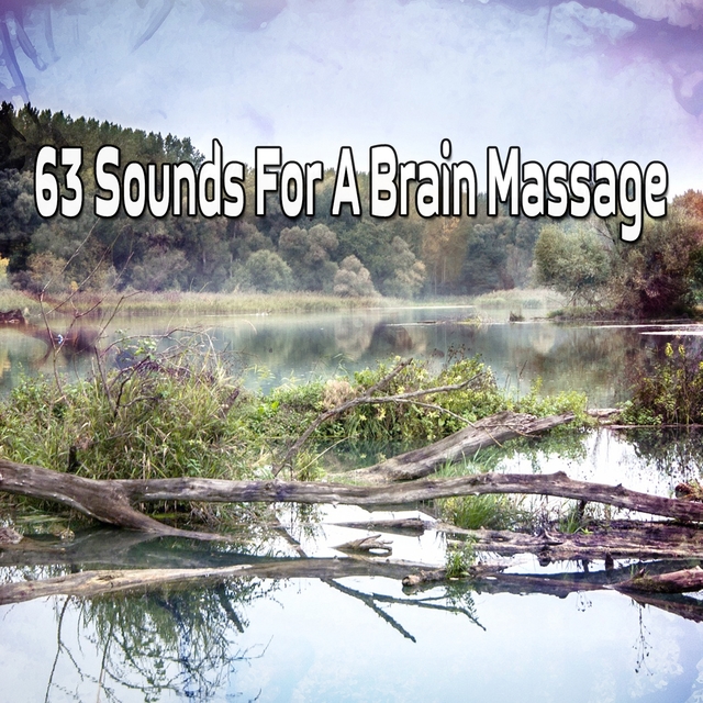 Couverture de 63 Sounds For A Brain Massage