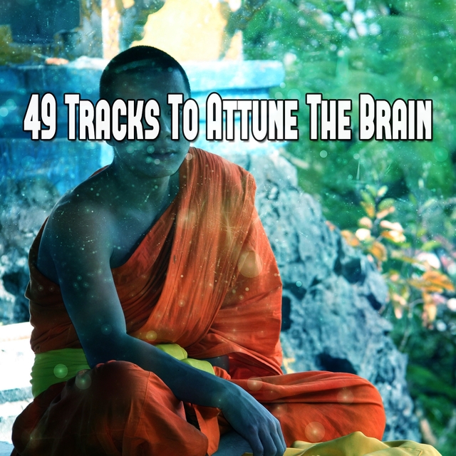 Couverture de 49 Tracks To Attune The Brain