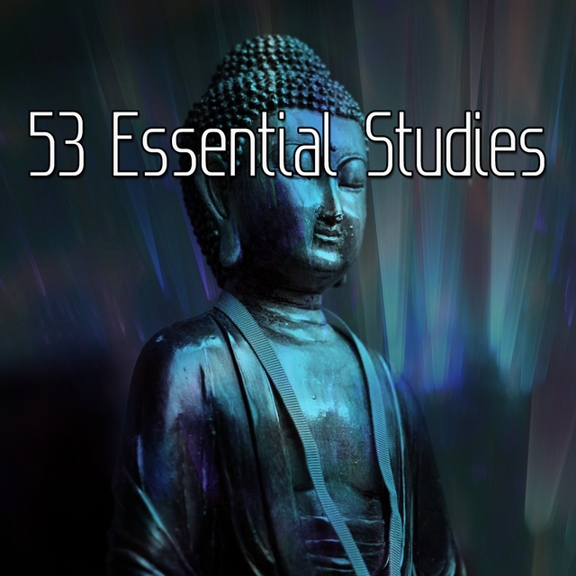 53 Essential Studies
