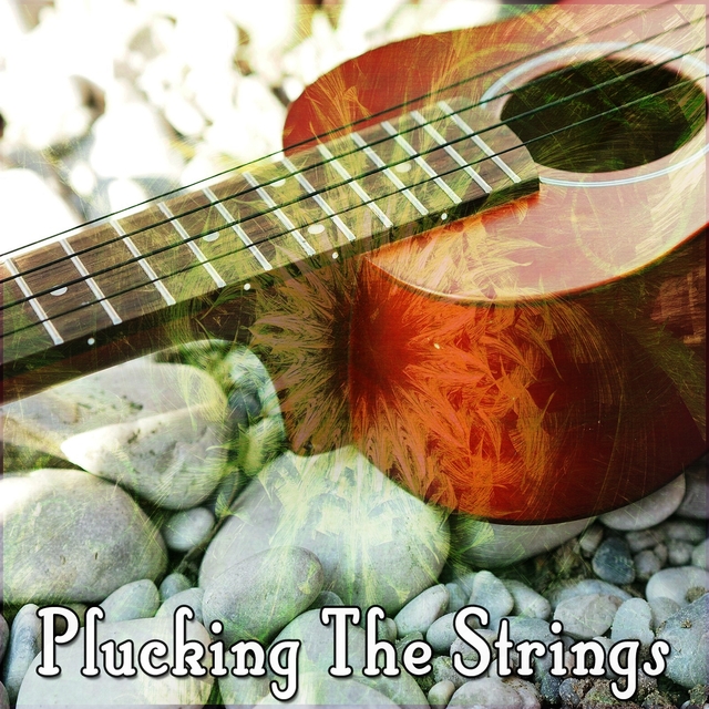 Plucking The Strings