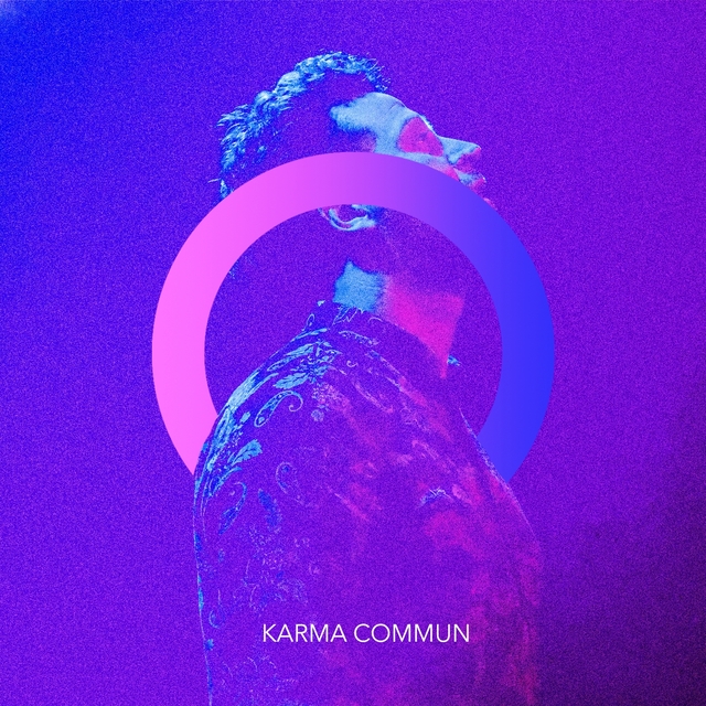 Couverture de Karma commun