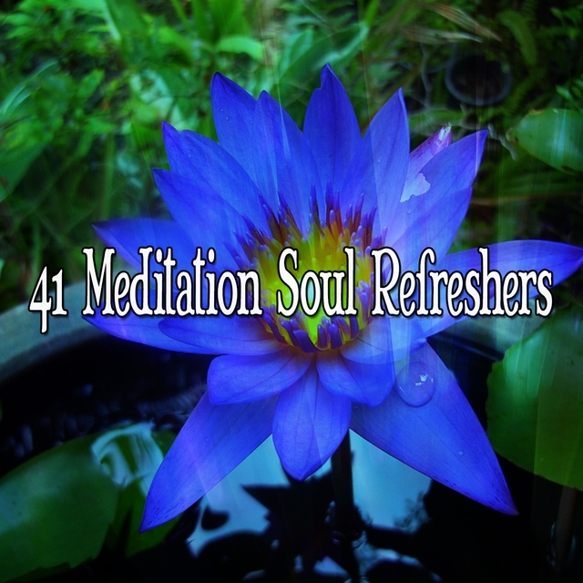 41 Meditation Soul Refreshers