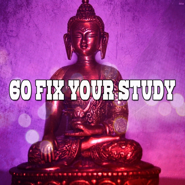 Couverture de 60 Fix Your Study