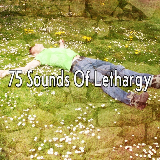 Couverture de 75 Sounds Of Lethargy