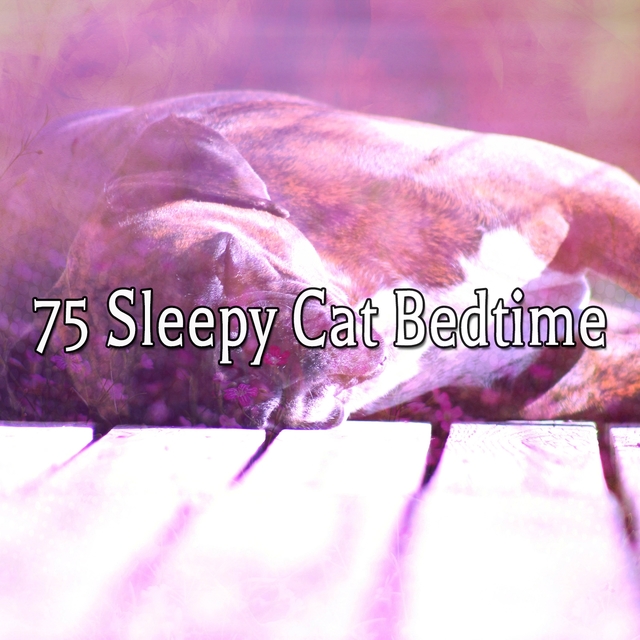 75 Sleepy Cat Bedtime