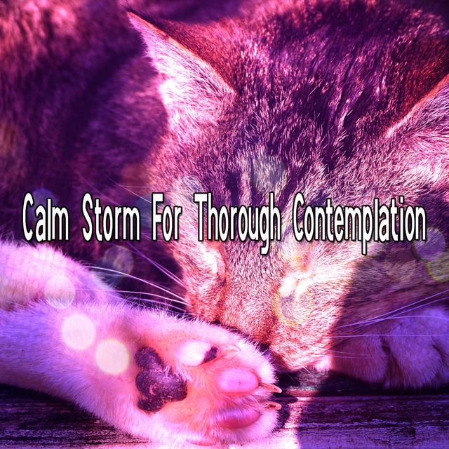 Calm Storm For Thorough Contemplation