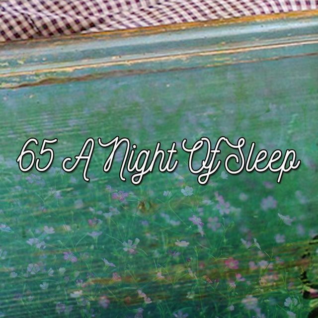 65 A Night Of Sleep