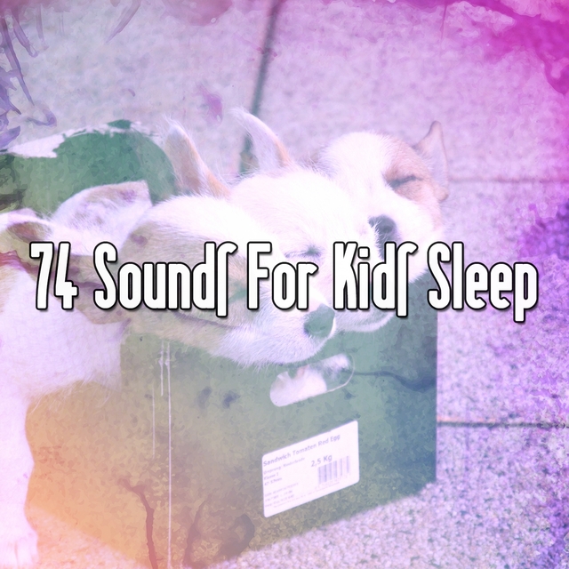 Couverture de 74 Sounds For Kids Sleep